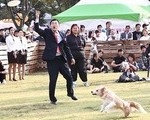 경주시, 음식점 반려동물 동반 허용